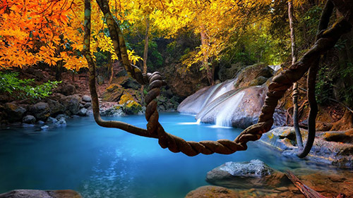 Indigo Records - Producción musical - Música Ambiente Zen Chill Out